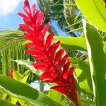 中国輸入ビジネス　ヤフオクで在庫処分？！