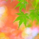 良い報告をいただきました