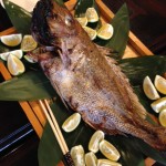 2013年11月売上結果発表