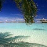 年末の売上状況と年始の売上予想