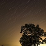 新しいプロジェクトスタート？！