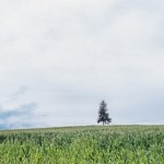 中国現地事務所をつくる？！