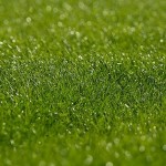 採用面接の難しさ