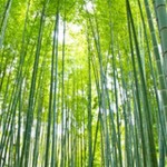 商品がぞくぞくと・・・