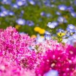 中国輸入ビジネス　倉庫の整理