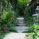 祝！6人目のコンサル生！