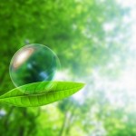 中国事務所の力発揮？！