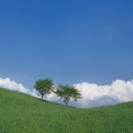 はじめての棚卸