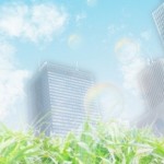 卸売営業状況と輸出