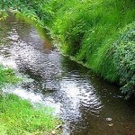 中国輸入ビジネス　2014年4月の売上について