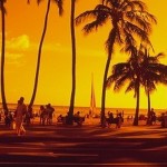 輸出事業　新展開！