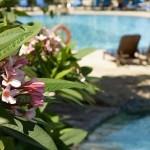 中国輸入ビジネス 5月上旬の売上状況