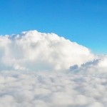 中国輸入ビジネス　会社設立1周年記念