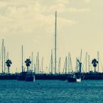 中国輸入ビジネス 6月の半分が経過