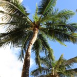 在庫切れが・・・