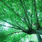 アマゾンの出品者評価