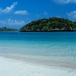 祝！4人目のコンサル生！